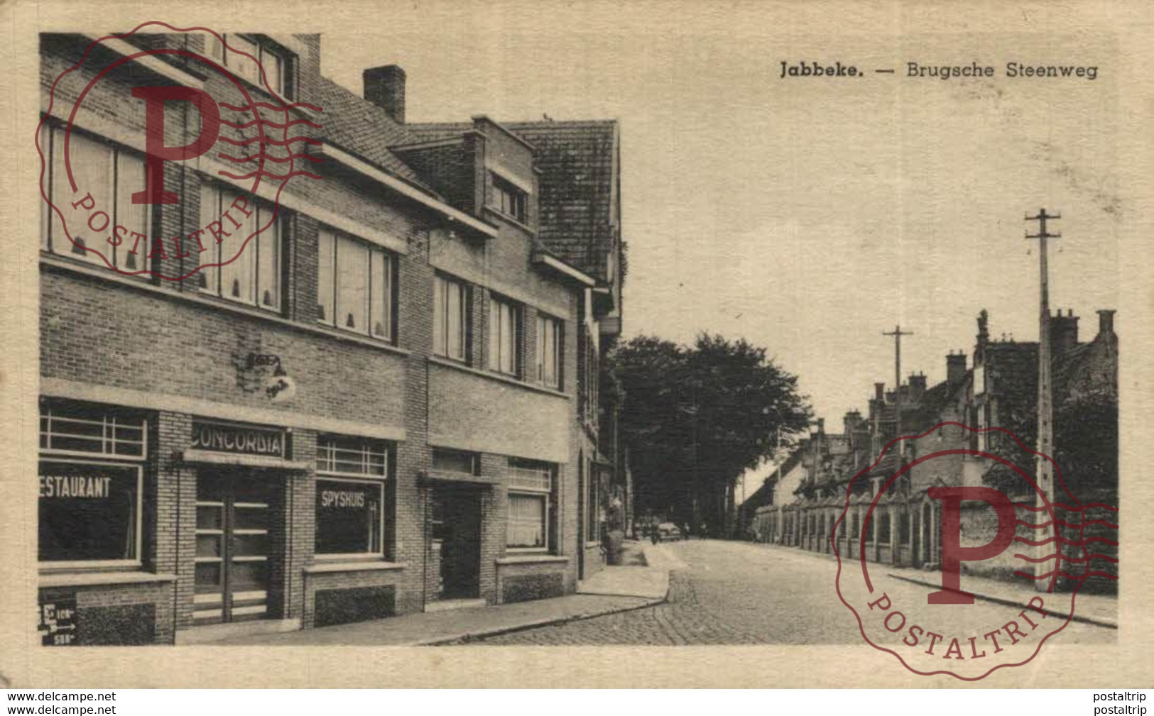 JABBEKE  BRUGSCHE STEENWEG  WESTVLAANDEREN - Jabbeke