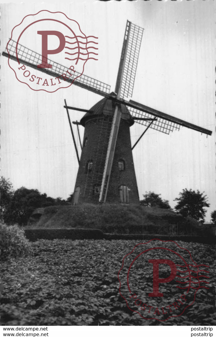 MOLEN  RIJCKEVORSEL ANVERS ANTWERPEN - Rijkevorsel