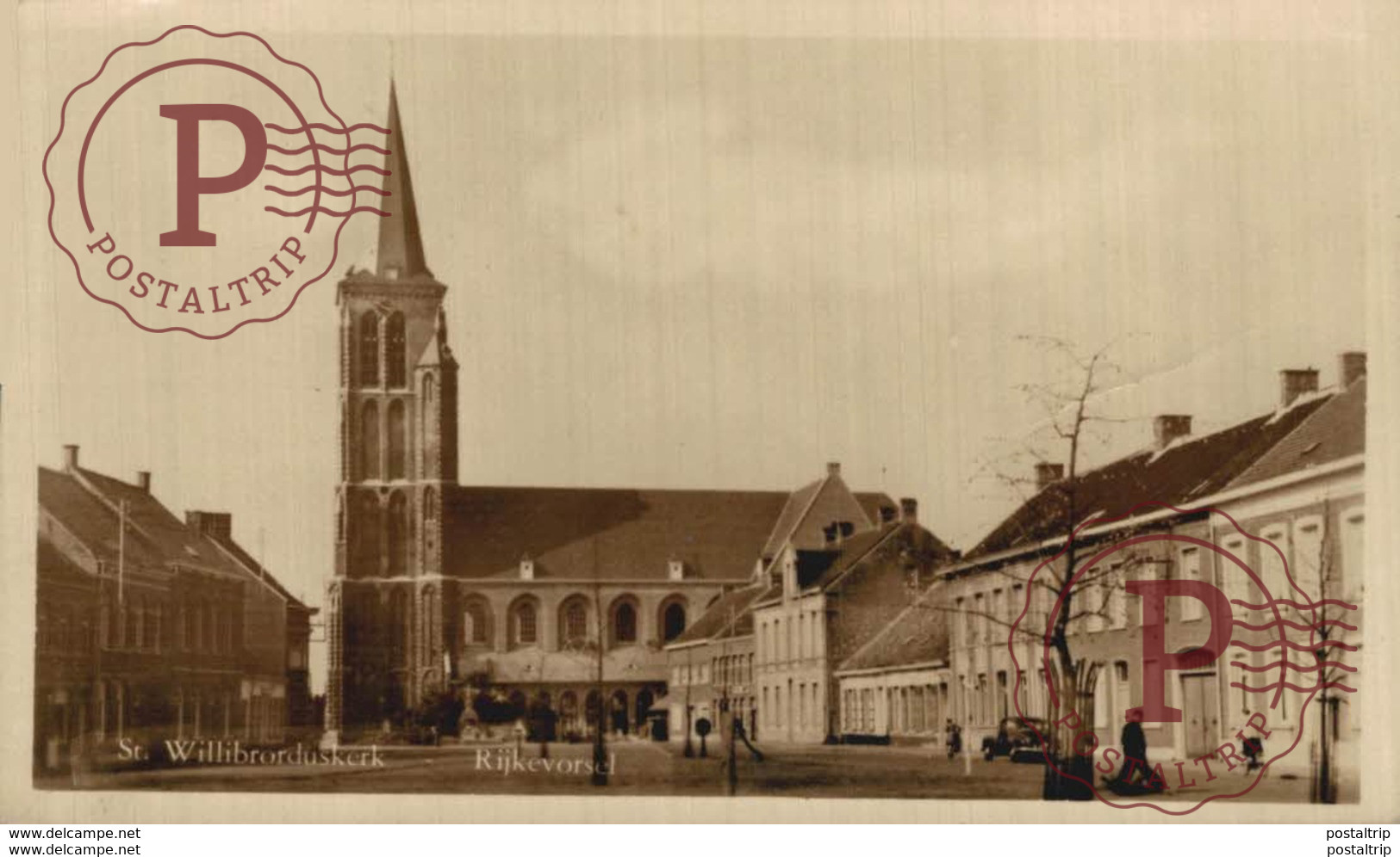 FOTOKAART UITGAVE MILAC ST  WILLIBRODUSKERK RIJCKEVORSEL RIJKEVORSEL ANVERS ANTWERPEN - Rijkevorsel