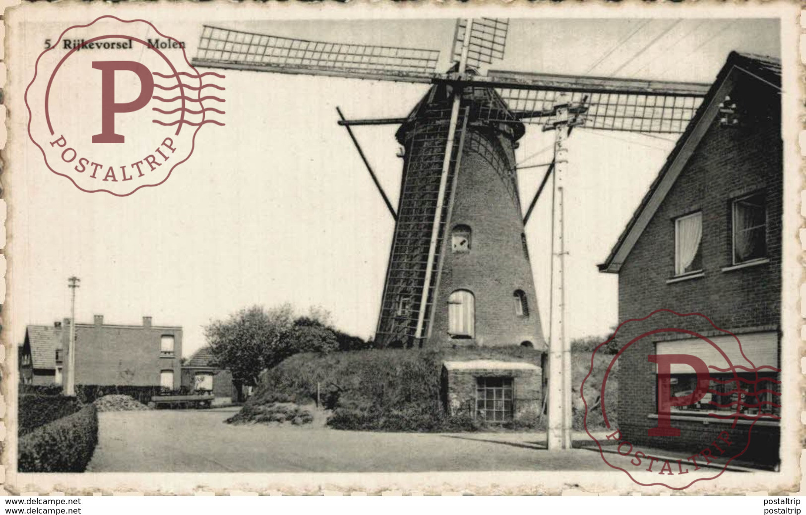 MOLEN WINDMOLEN MOULIN A VENT MUHLE WINDMILL  RIJCKEVORSEL RIJKEVORSEL ANVERS ANTWERPEN - Rijkevorsel