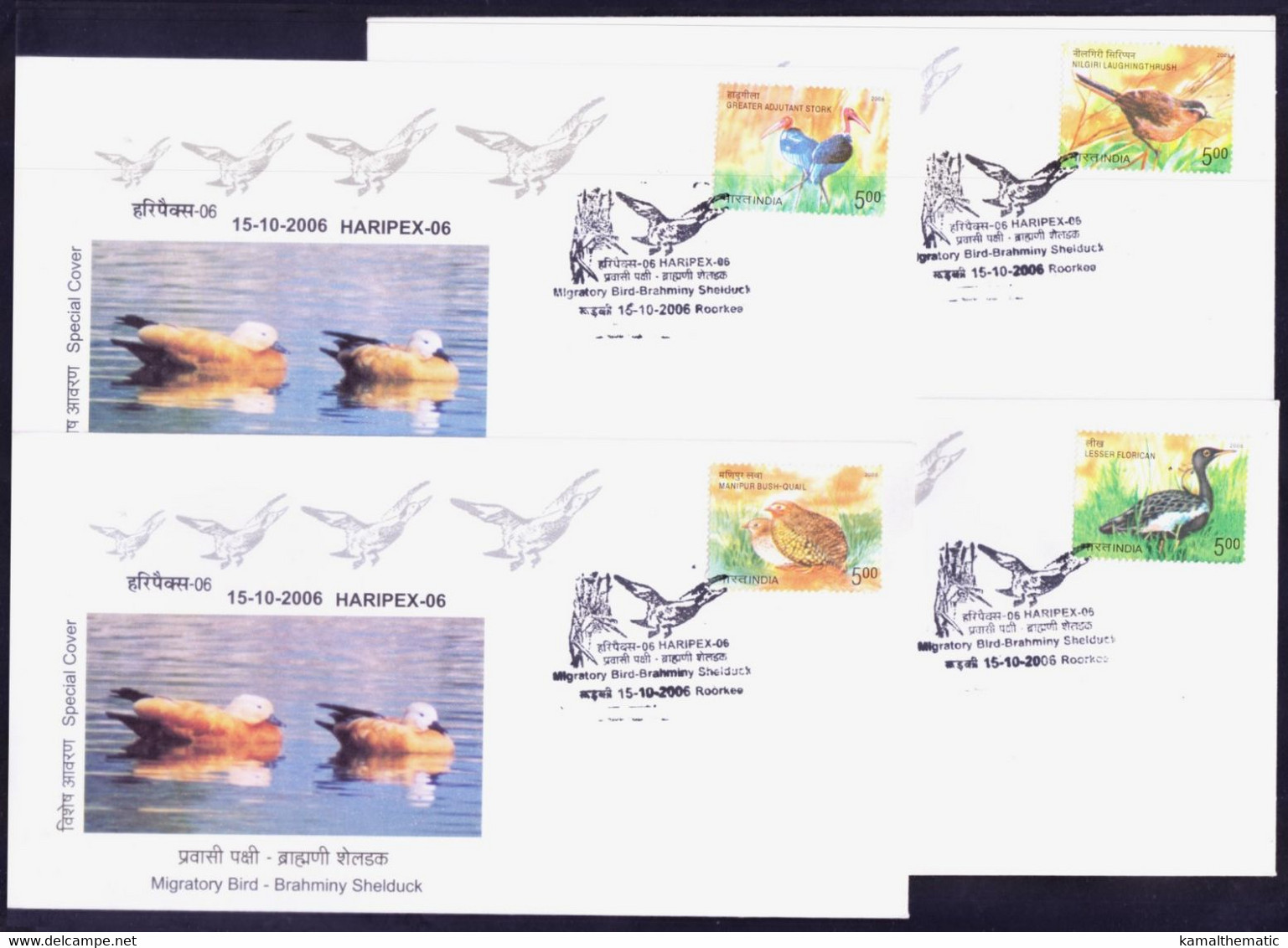 India 2006 Endangered Birds 4v On Special Covers, Pictorial Cancellation - Cuckoos & Turacos