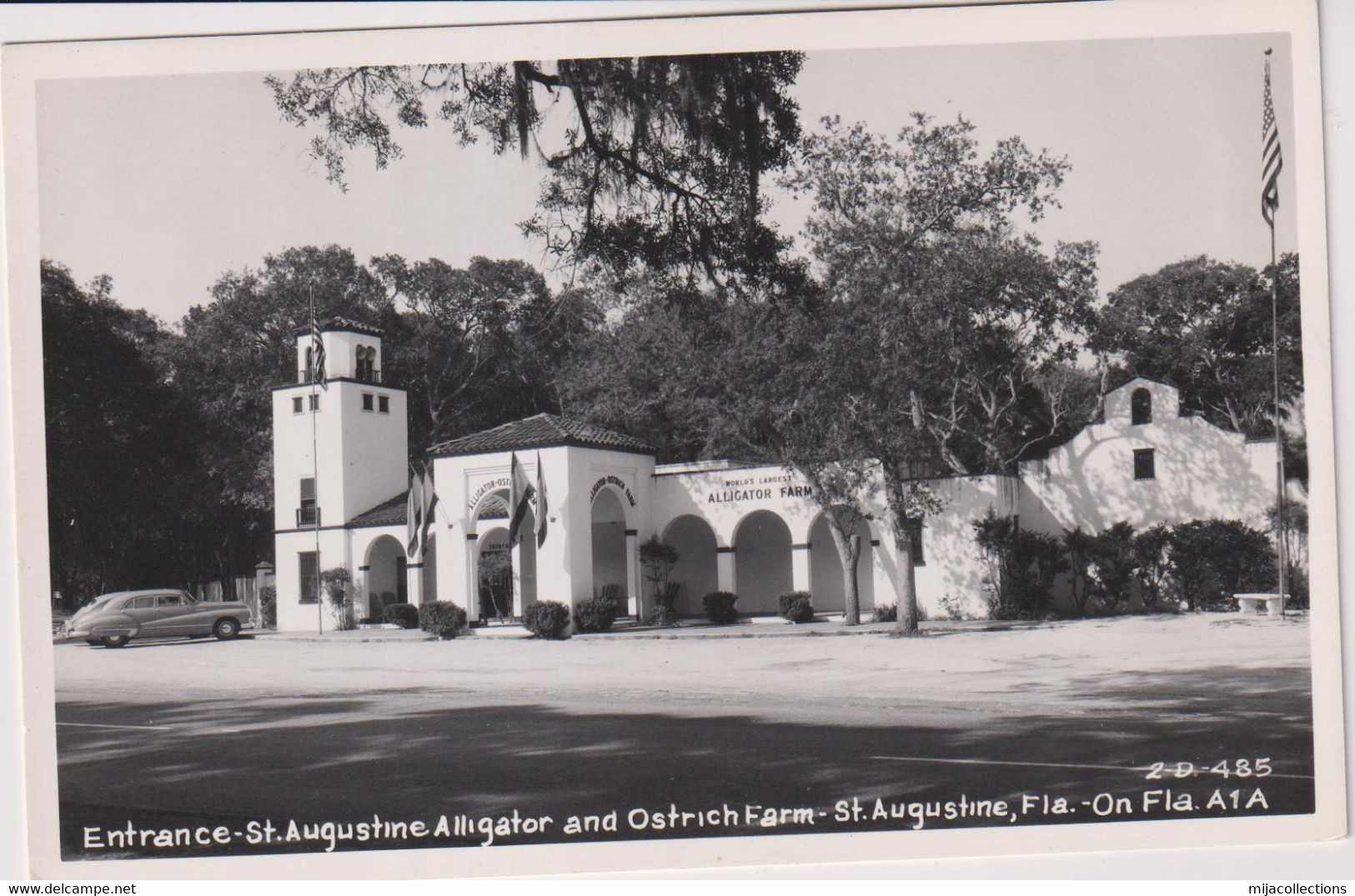 CPA-D18- ST.AUGUSTINE-ALLIGATOR AND OSTRICH FARM - St Augustine