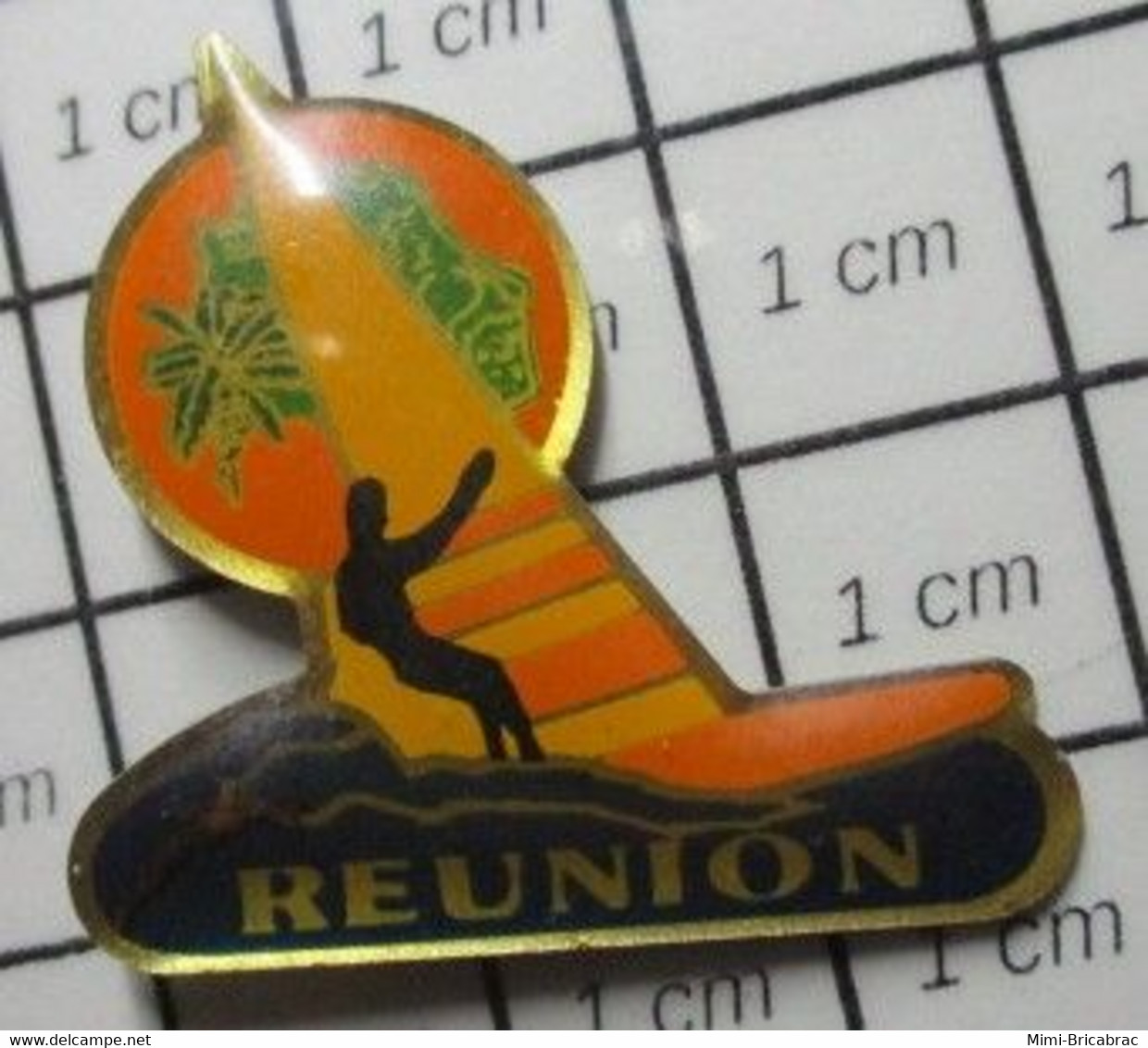 1322 Pin's Pins / Beau Et Rare / THEME : SPORTS / PLANCHE A VOILE REUNION REPAS POUR LES REQUINS - Vela