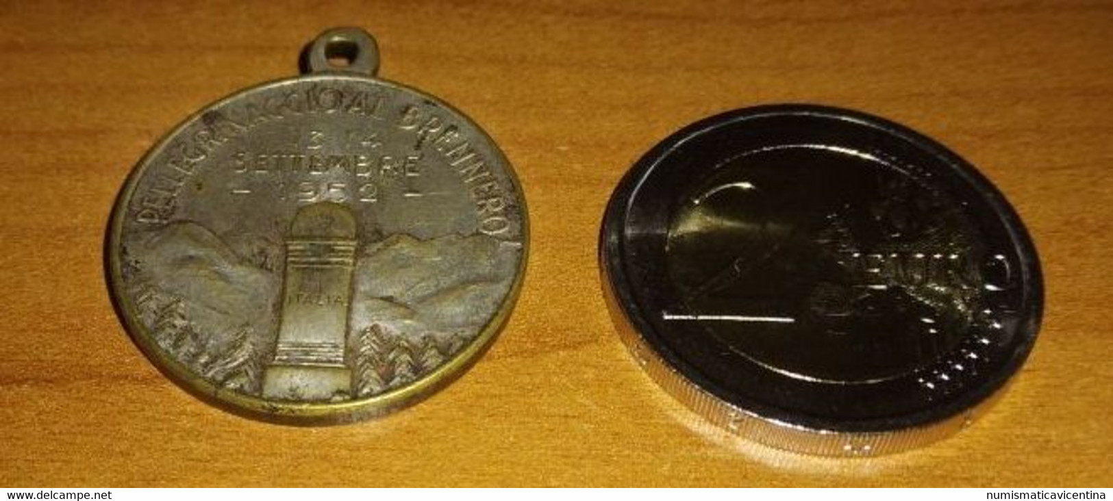Medaglia  Combattenti E Reduci Di Vicenza 1952 Medaglia  Pellegrinaggio Al Brennero - Italia