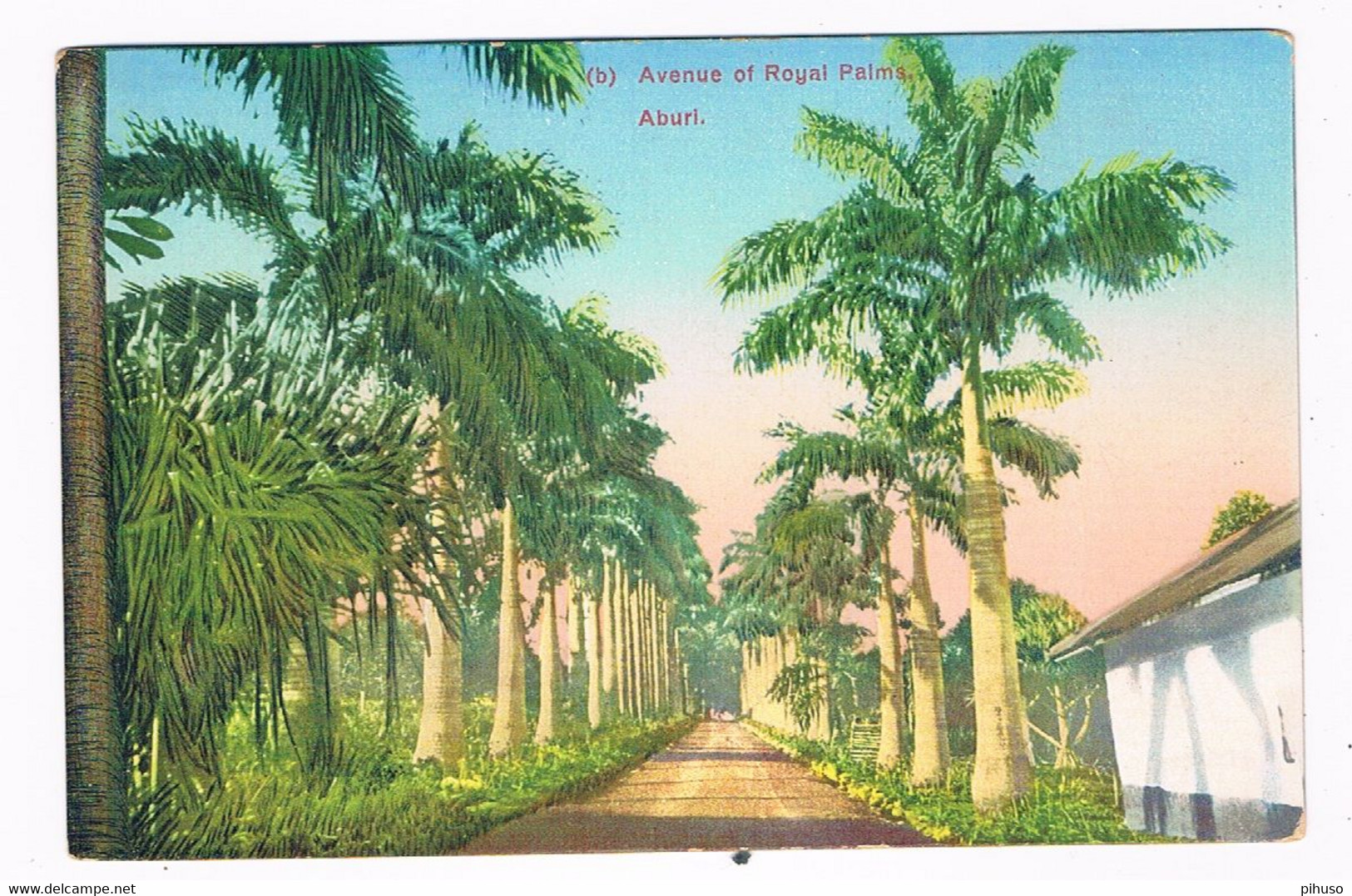 AFR-1526  ABURI : Avenue Of Royal Palms - Ghana - Gold Coast