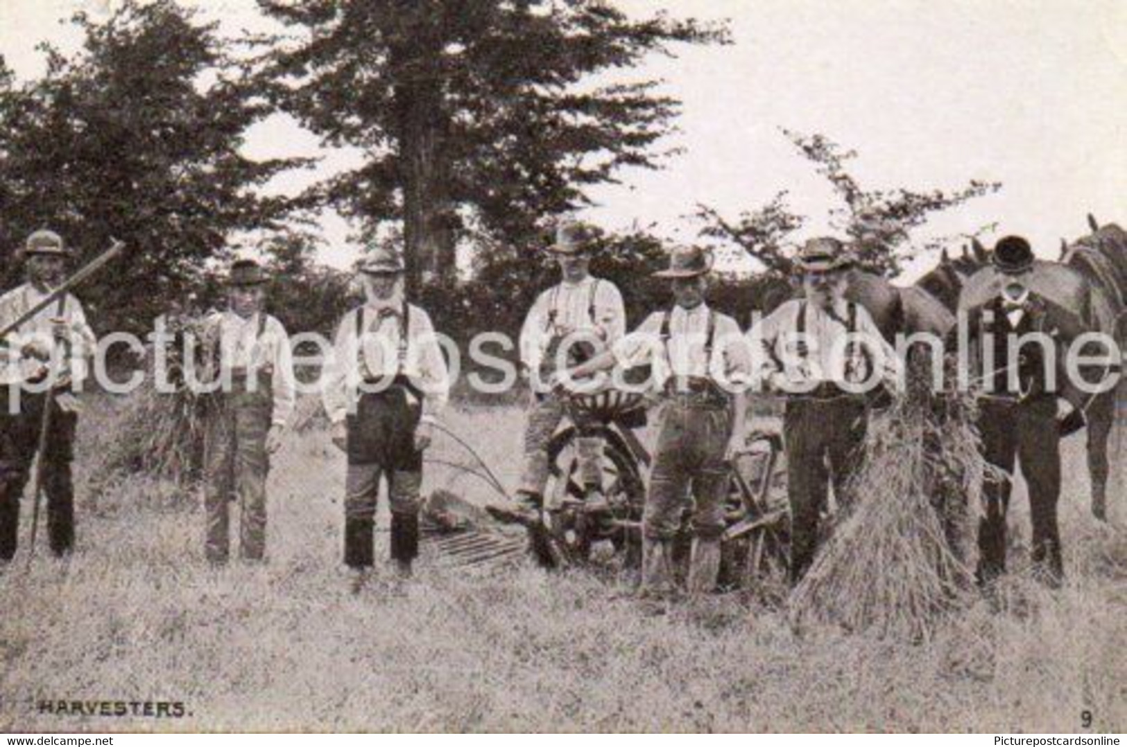 HARVESTERS NICE OLD B/W POSTCARD FARMERS FARMING INTEREST FARM MACHINERY - Attelages