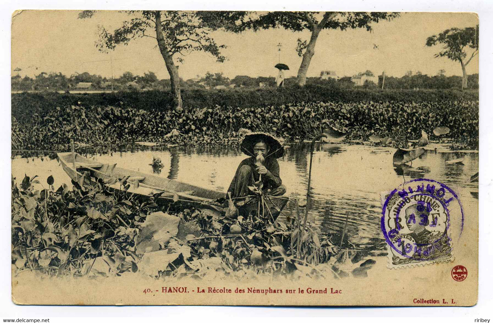 CPA HANOI La Récolte Des Nénuphares Sur Le Grand Lac / Pour Paris France / 1912 - Vietnam