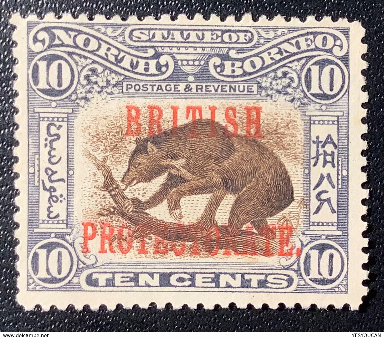 North Borneo 1901 BRITISH PROTECTORATE SG 134 = 100 £, 10c Sun Bear Perf. 13 1/2-14 Unused (*) VF  (ours Malaysia Malaya - Bornéo Du Nord (...-1963)