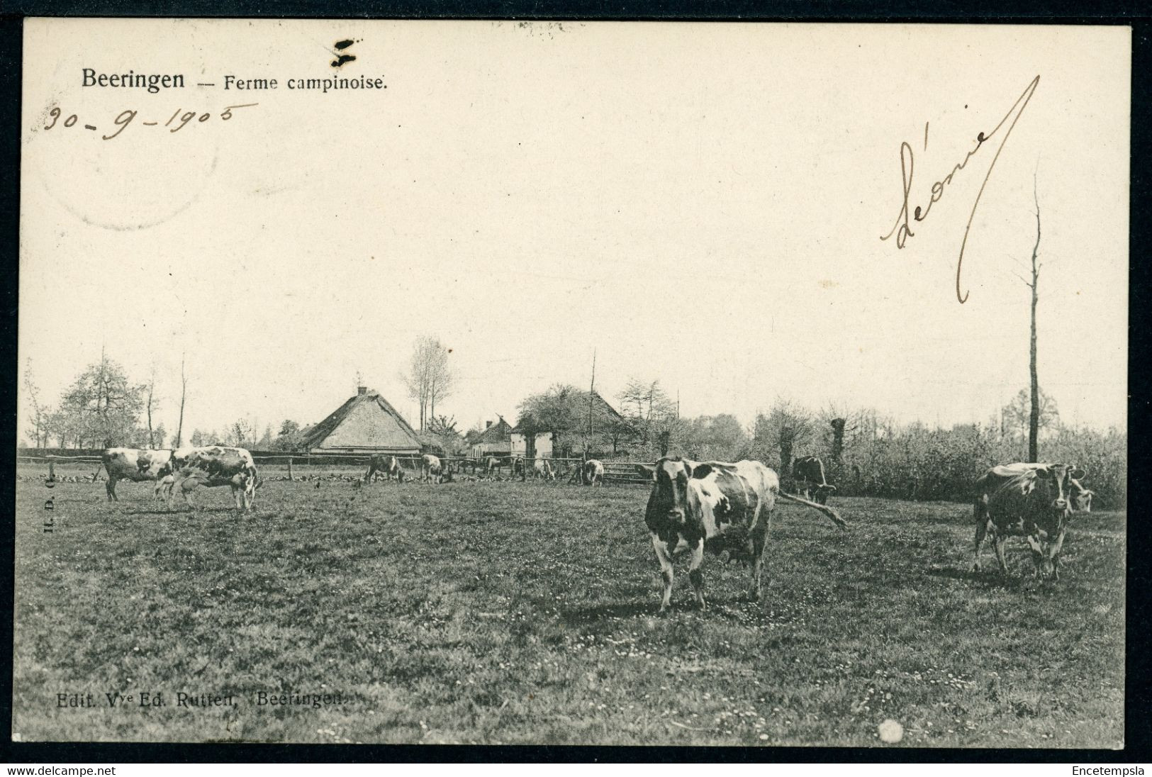 CPA - Carte Postale - Belgique - Beeringen - Ferme Campinoise - 1905 (CP20832OK) - Beringen