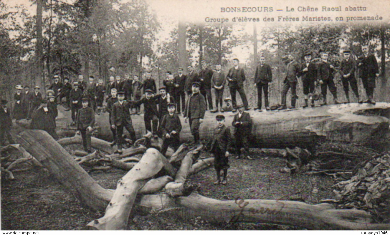 Bonsecours   Le Chéne Raoul Abattu Groupe D'élèves Des Frères Maristes En Promenade Voyagé En 1907 - Péruwelz