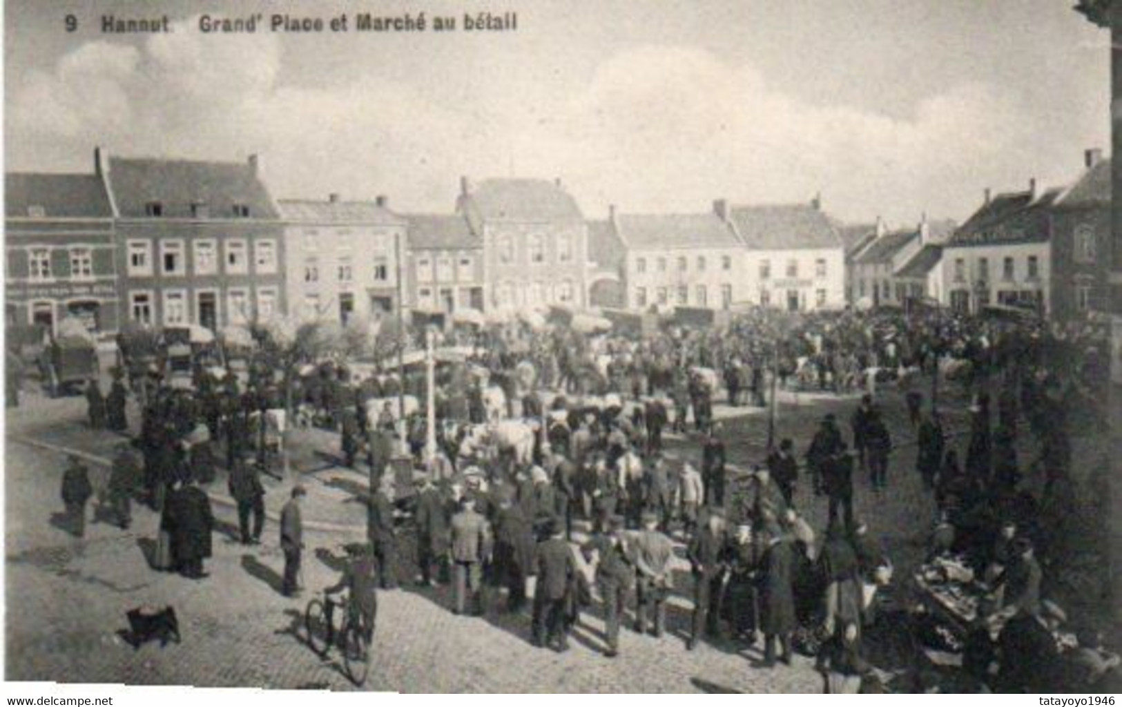 Hannut  Grand Place Et Marché Au Bétail Super Animée Voyagé En 1910 - Hannuit