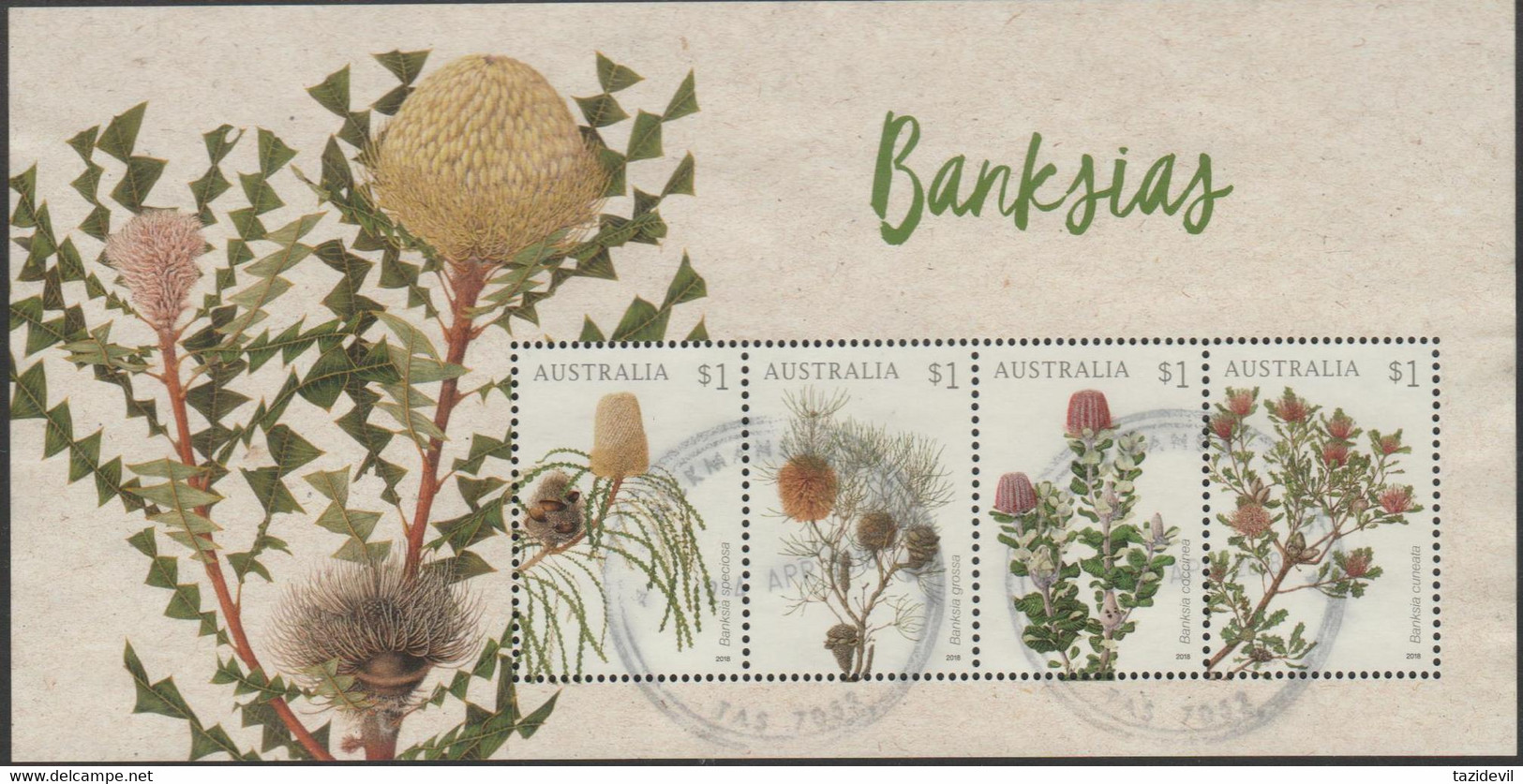 AUSTRALIA - USED 2018 $4.00 Banksia's Souvenir Sheet - Flowers - Used Stamps