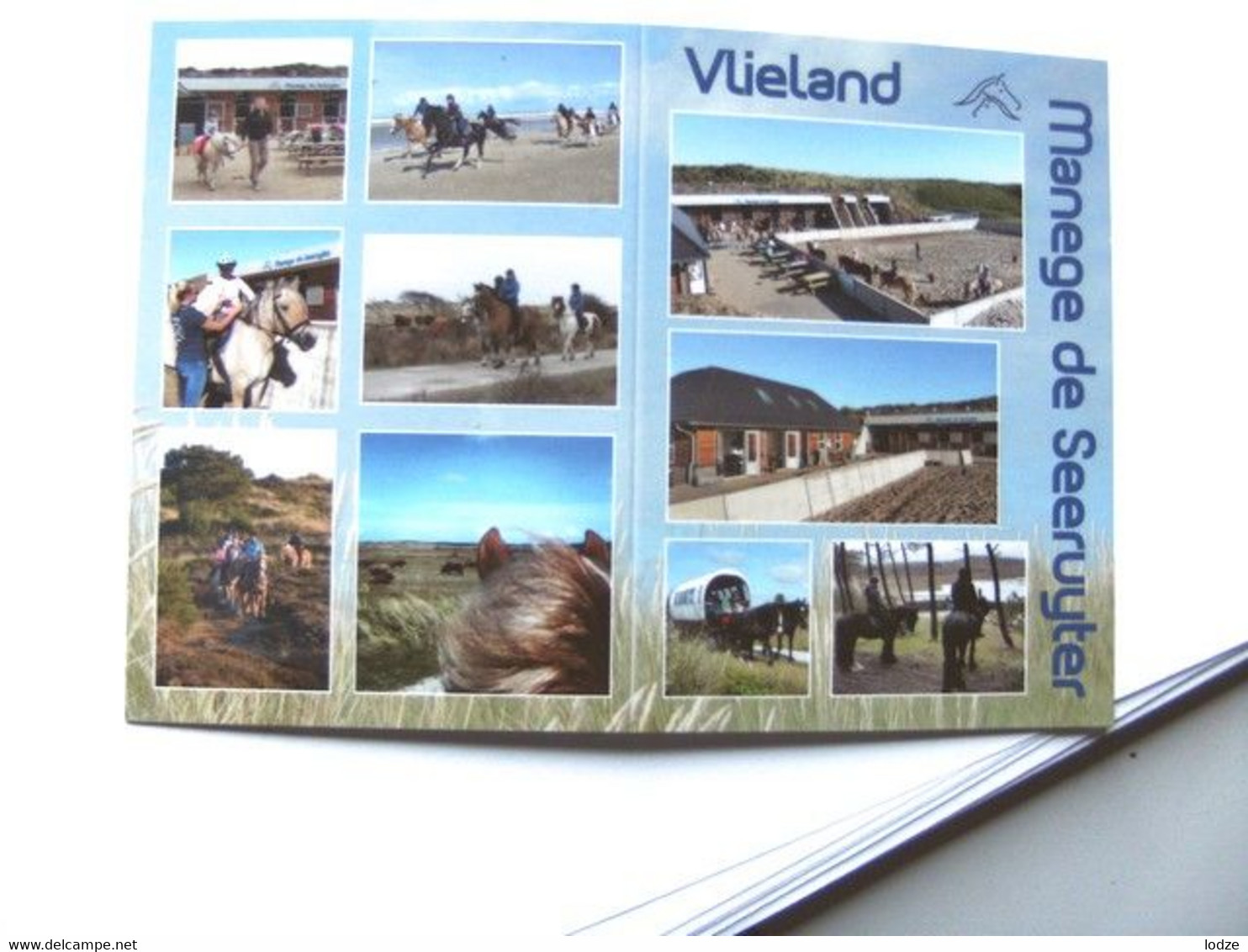 Nederland Holland Pays Bas Vlieland Veelluik Met Manege De Seeruyter - Vlieland