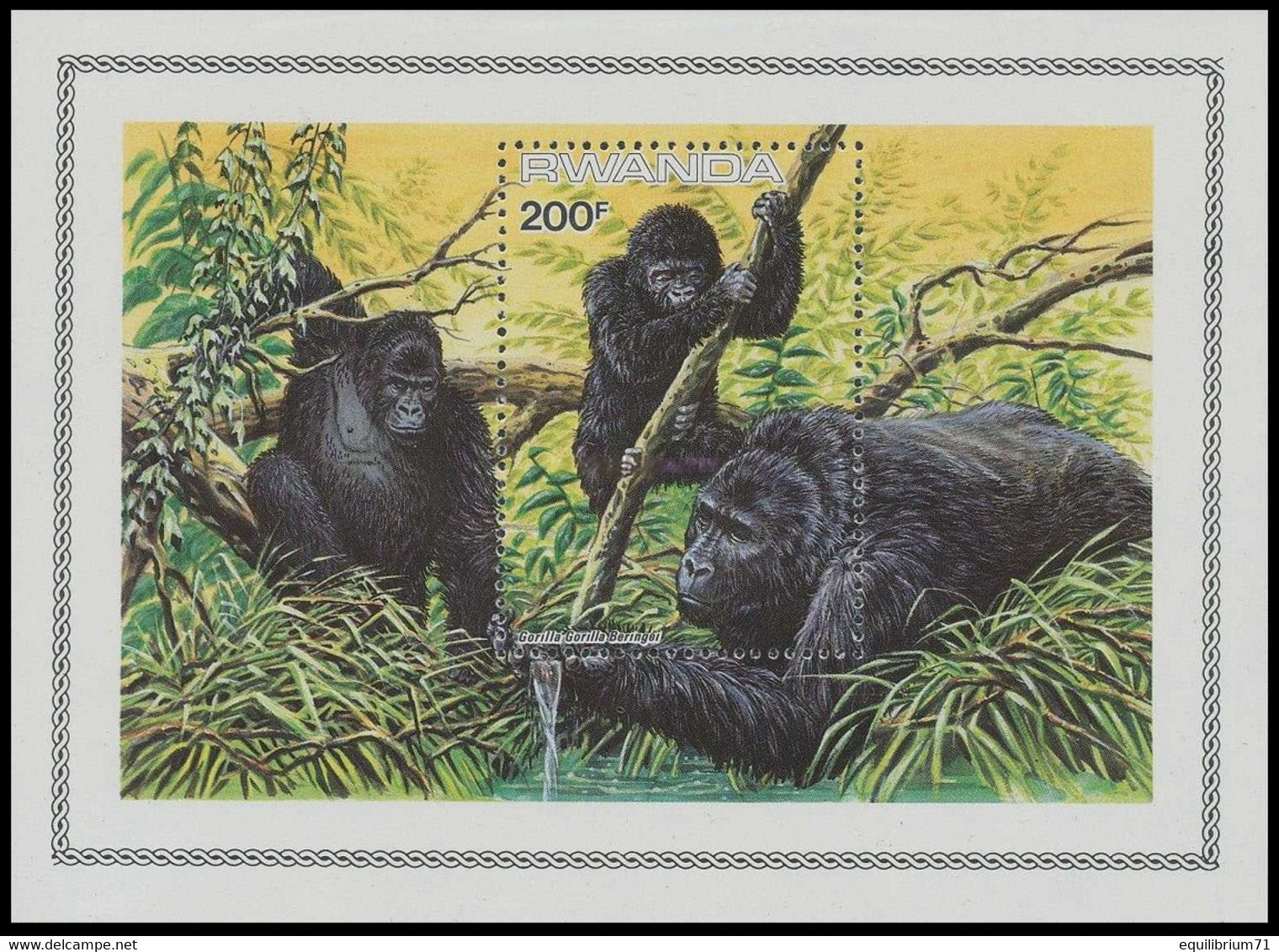 BL99**(1231) - Gorilles Des Montagnes / Berggorilla's / Berg Gorillas / Mountain Gorillas - III - WWF - BUZIN - Gorilles