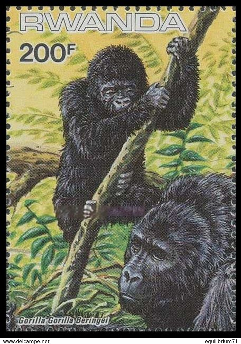 1231**(BL99) - Gorilles Des Montagnes / Berggorilla's / Berg Gorillas / Mountain Gorillas - III - WWF - BUZIN - Gorilles