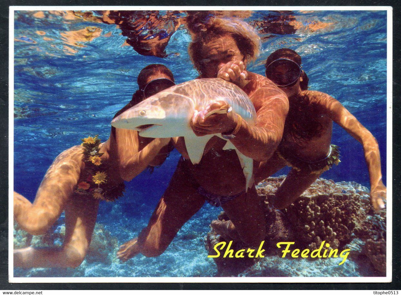 POLYNESIE. Carte Postale écrite. Bora Boara Shark Feeding. - Polynésie Française