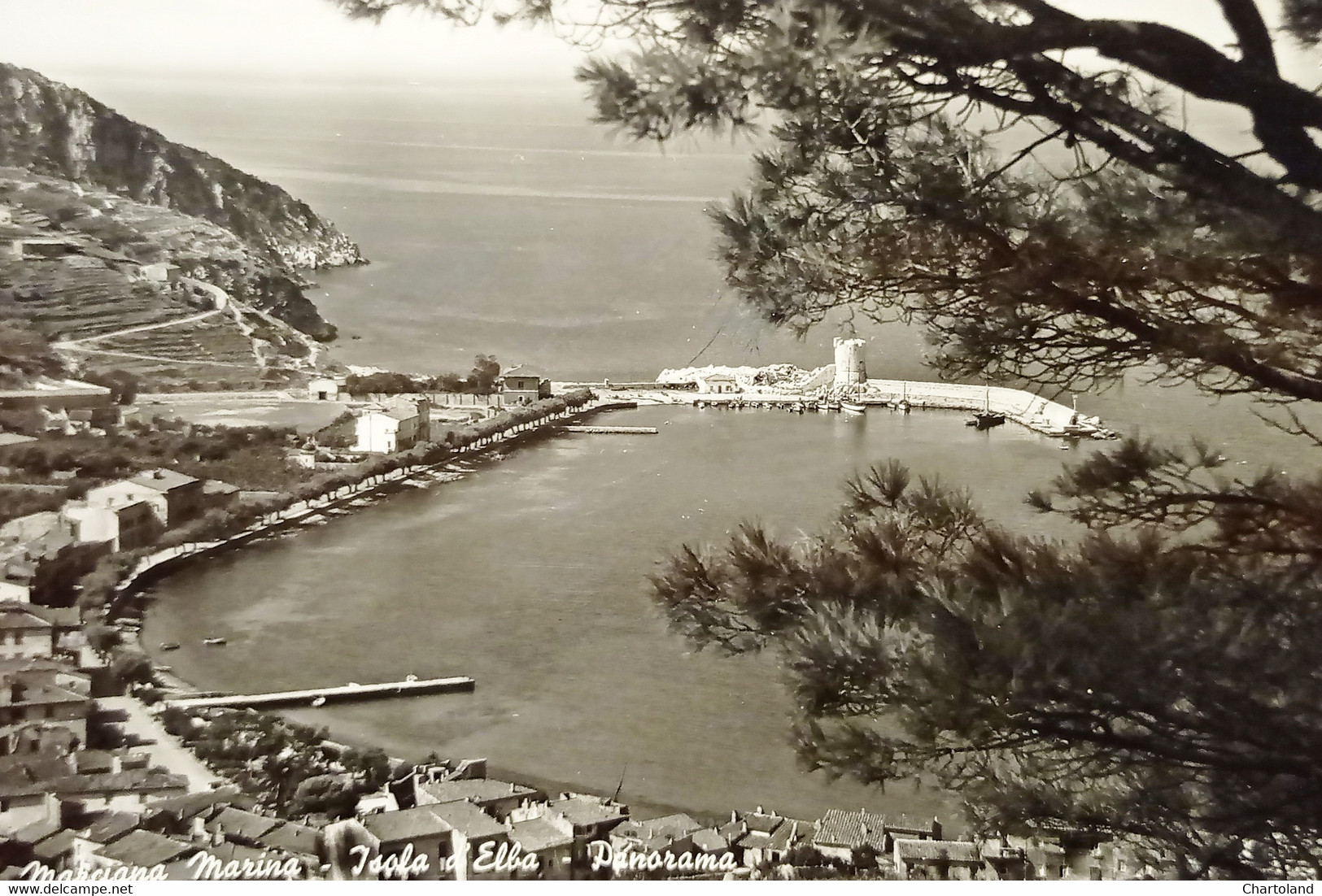 Cartolina - Marciana Marina - Isola D'Elba - Panorama - 1955 Ca. - Livorno