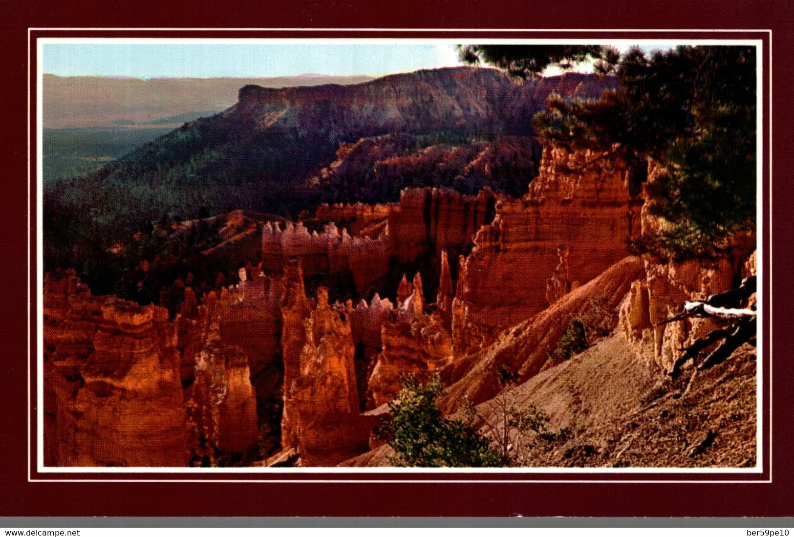 USA BRYCE CANYON NATIONAL PARK UTAH - Bryce Canyon