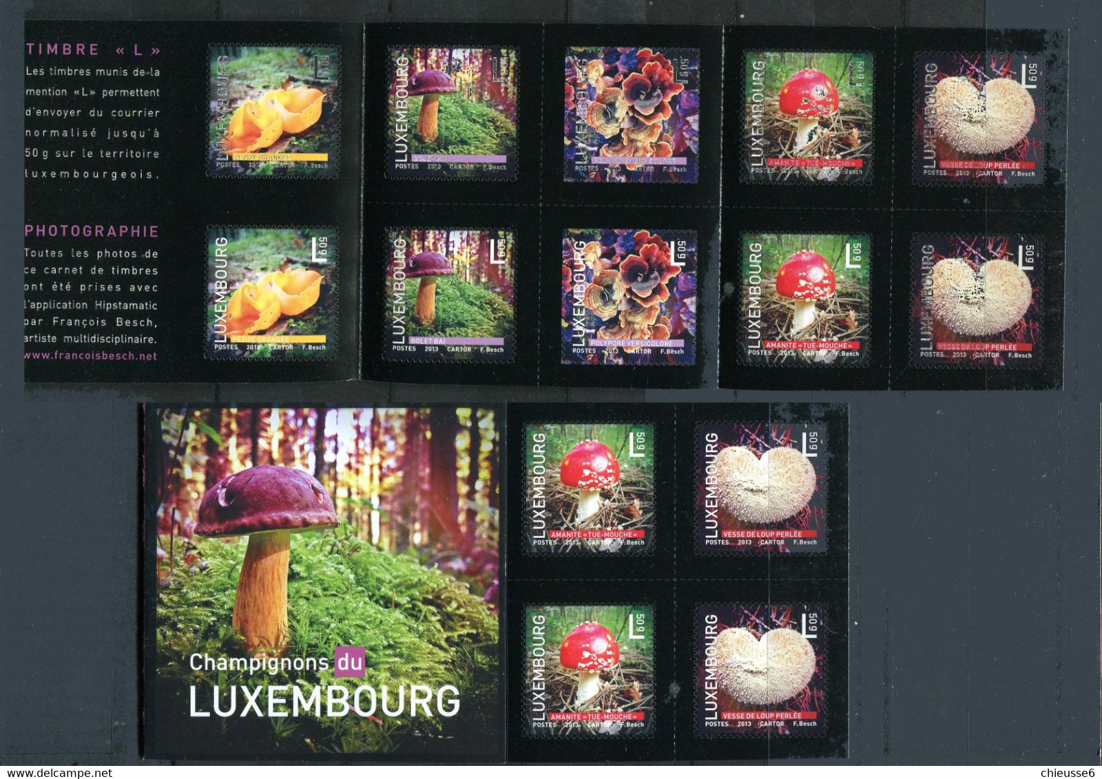 Luxembourg ++ N° C1931 - Champignons - Postzegelboekjes