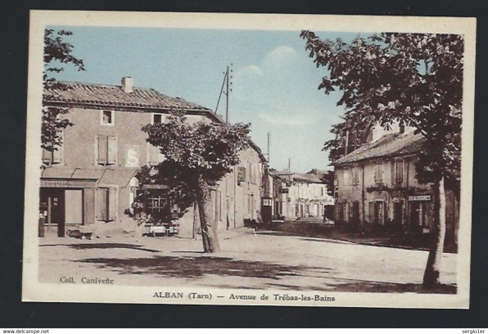 CPA   Tarn  81  :   Alban  Avenue De Trébas Les Bains - Alban