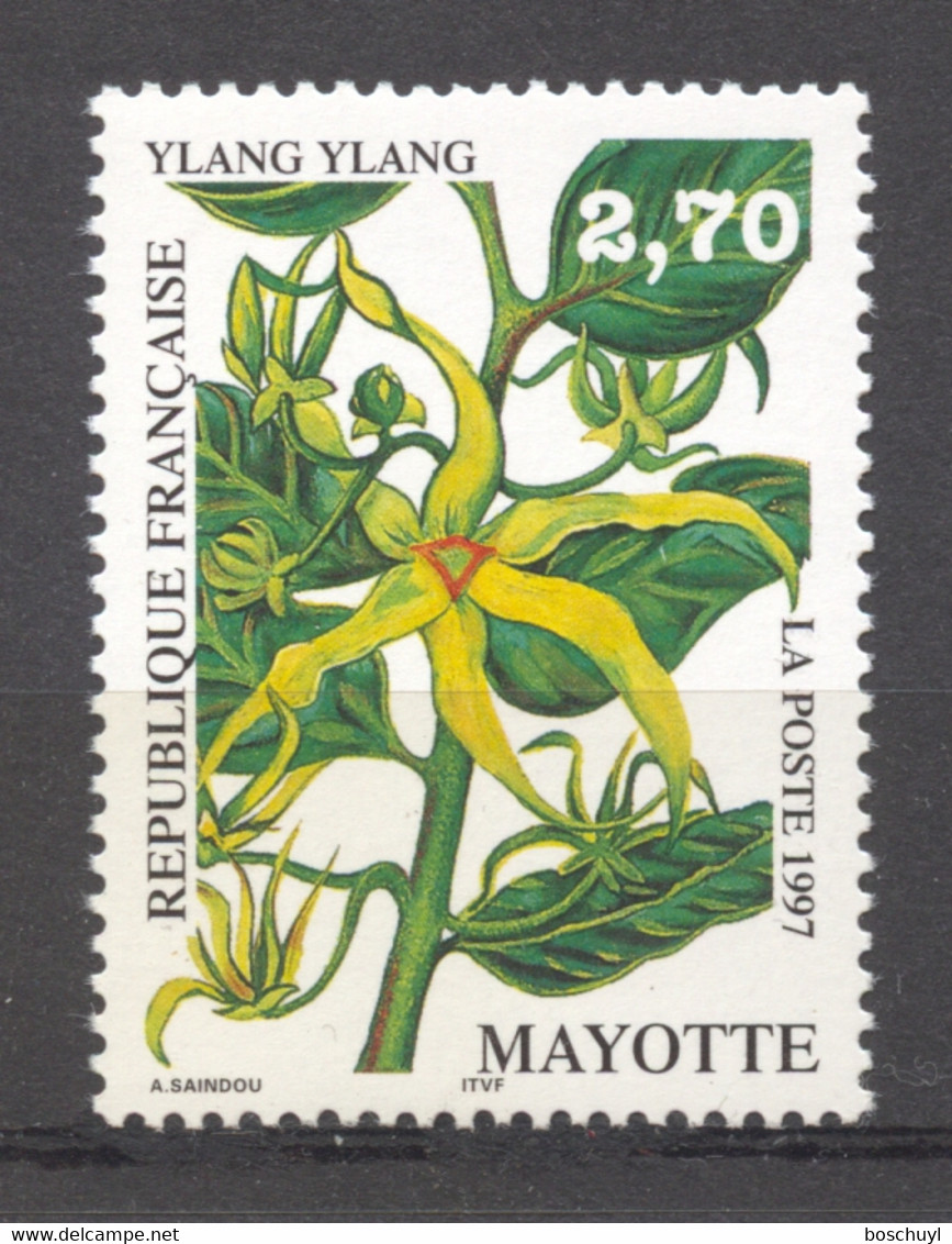 Mayotte, 1997, Flowers, Plants, Flora, MNH, Michel 31 - Autres & Non Classés