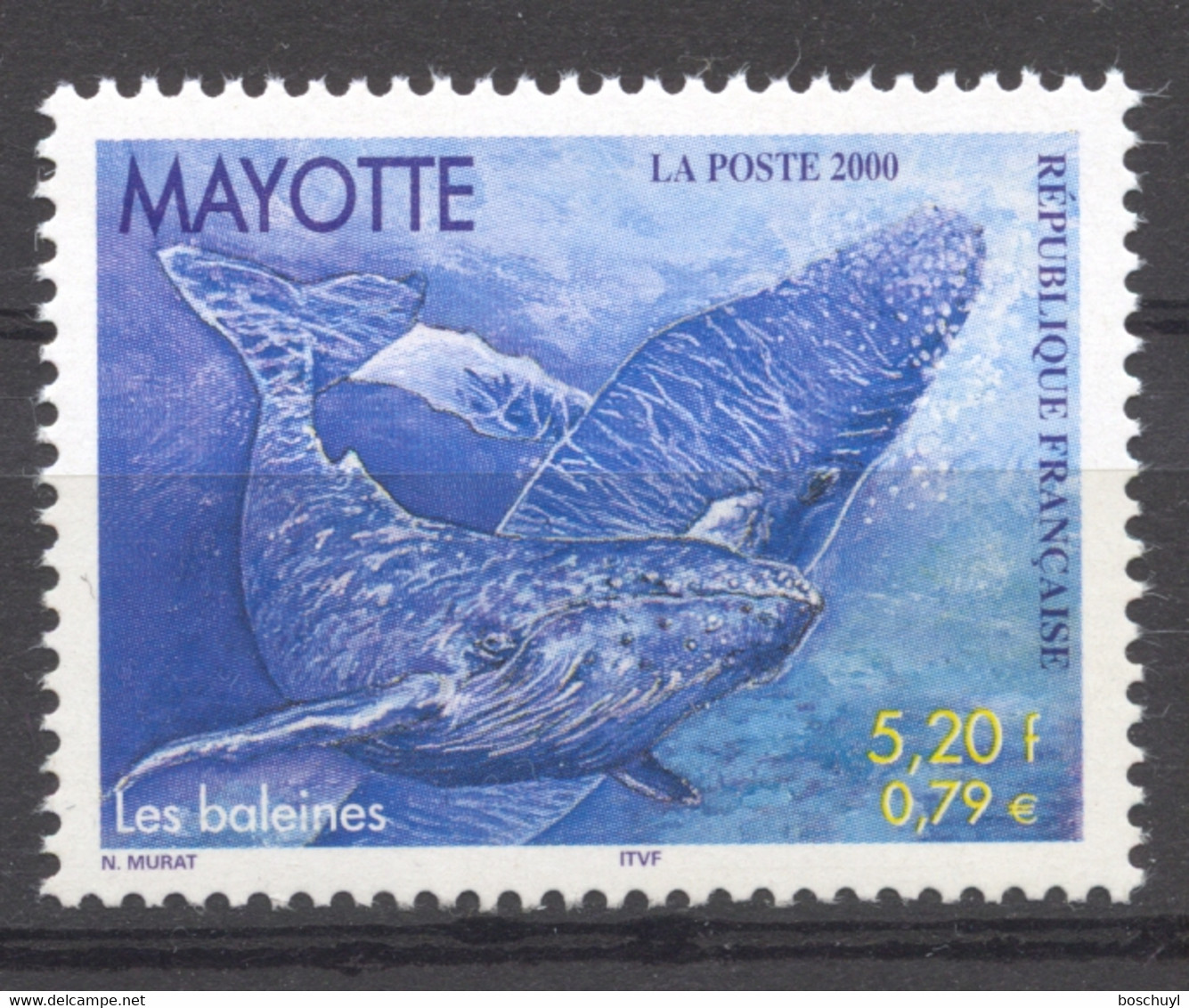 Mayotte, 2000, Whale, Animals, Fauna, MNH, Michel 80 - Autres & Non Classés
