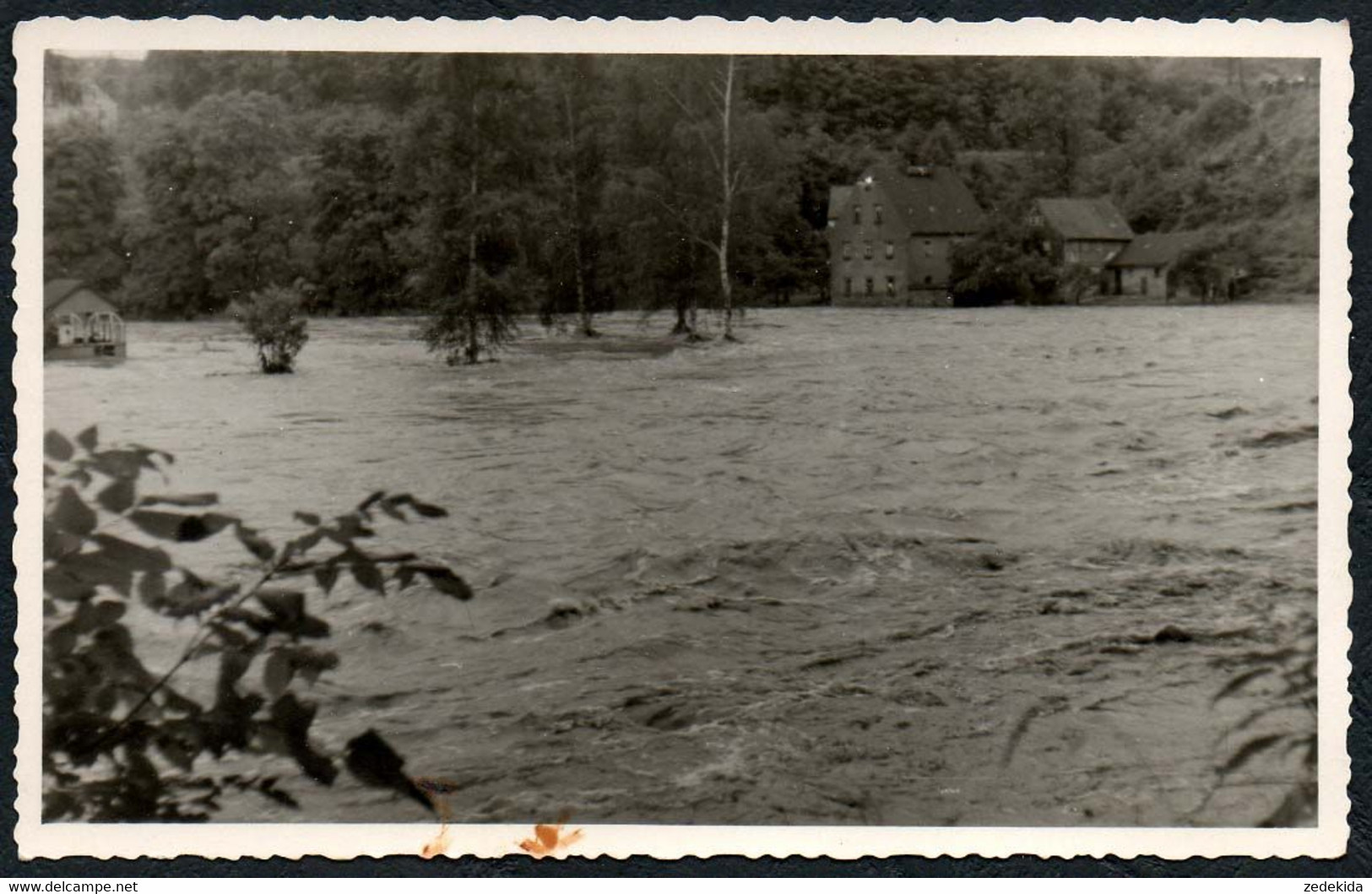 F8856 - Rochburg Lunzenau - Unwetter Hochwasser Hängebrücke Schaden - Foto Dieter Schlegel Pressefoto - Lunzenau