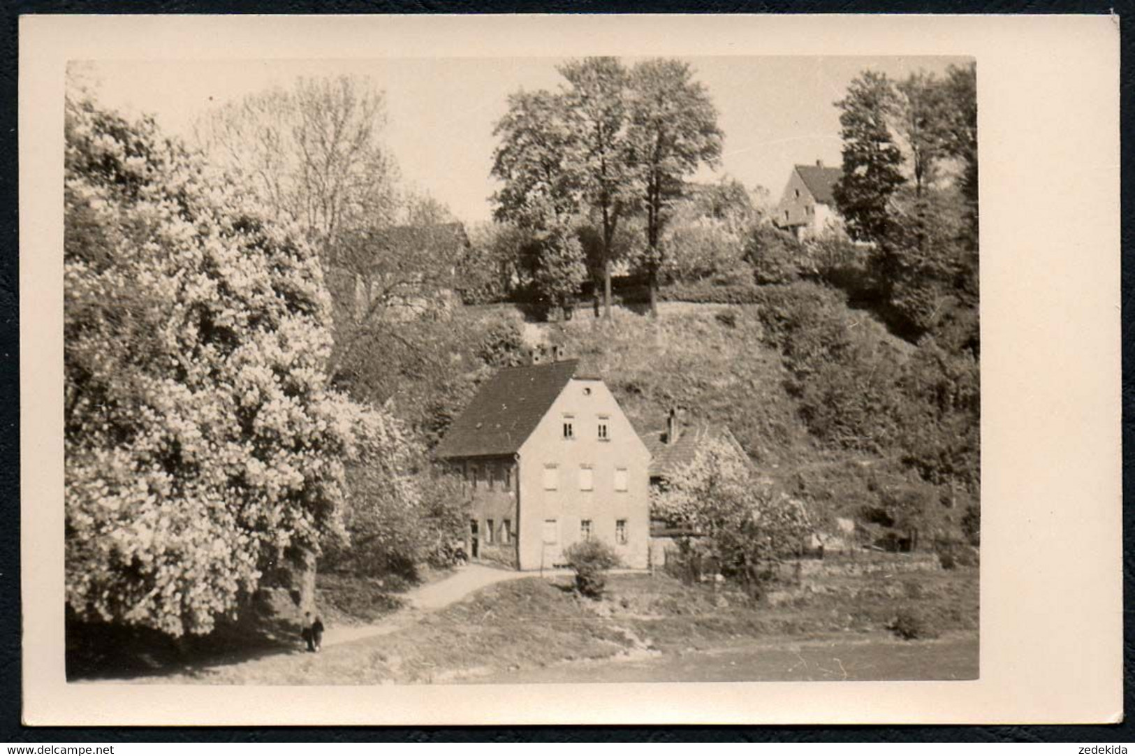 F8860 - Rochburg Lunzenau - Foto - Lunzenau