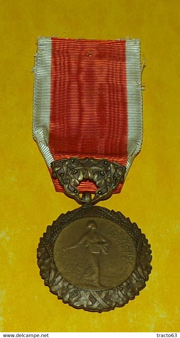 MEDAILLE DE LA PREVOYANCE SOCIALE , MINISTERE DE  L'HYGIENE , DE L'ASSISTANCE ET DE LA PREVOYANCE SOCIALE , BON ETAT VO - Frankrijk