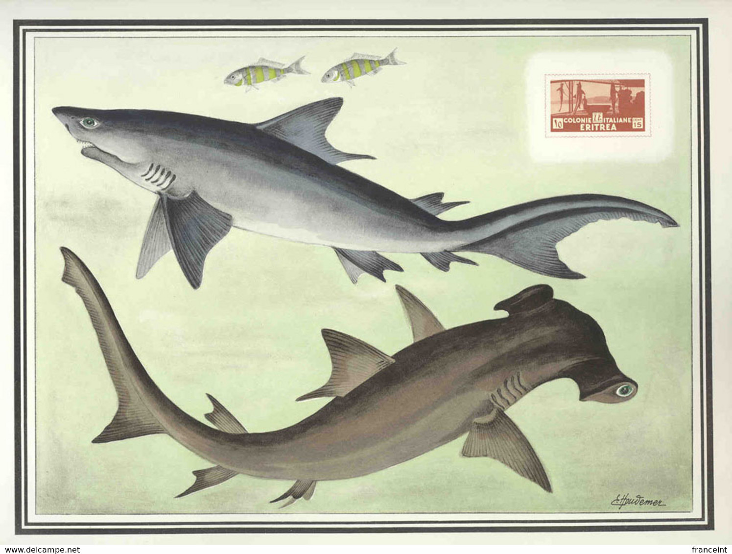 ERITREA(1953) Shark Fishery. Oversized Proof Printed By Helio-Vaugirard. Scott No 161. Yvert No 197. Gorgeous! - Erythrée