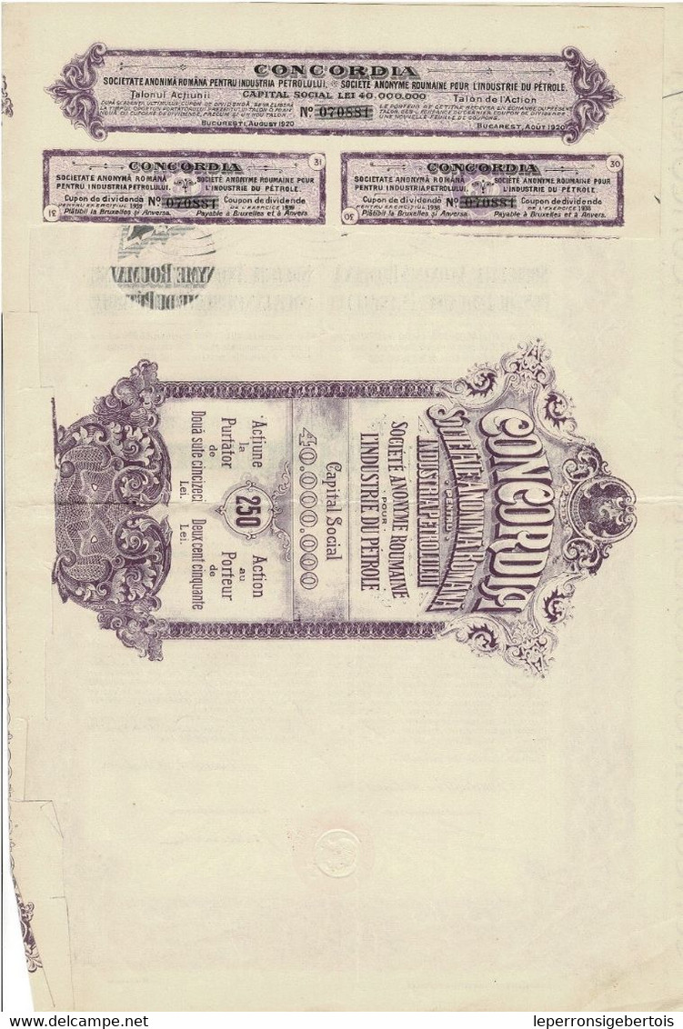 - Titre De 1920 - Concordia - Société Anonyme Roumaine Pour L'Industrie Du Pétrole - Petróleo