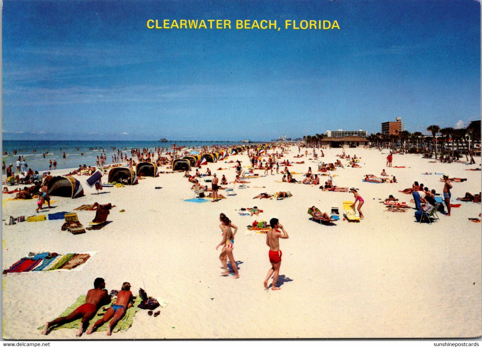 Florida Clearwater Beach View Showing Sun Bathers - Clearwater