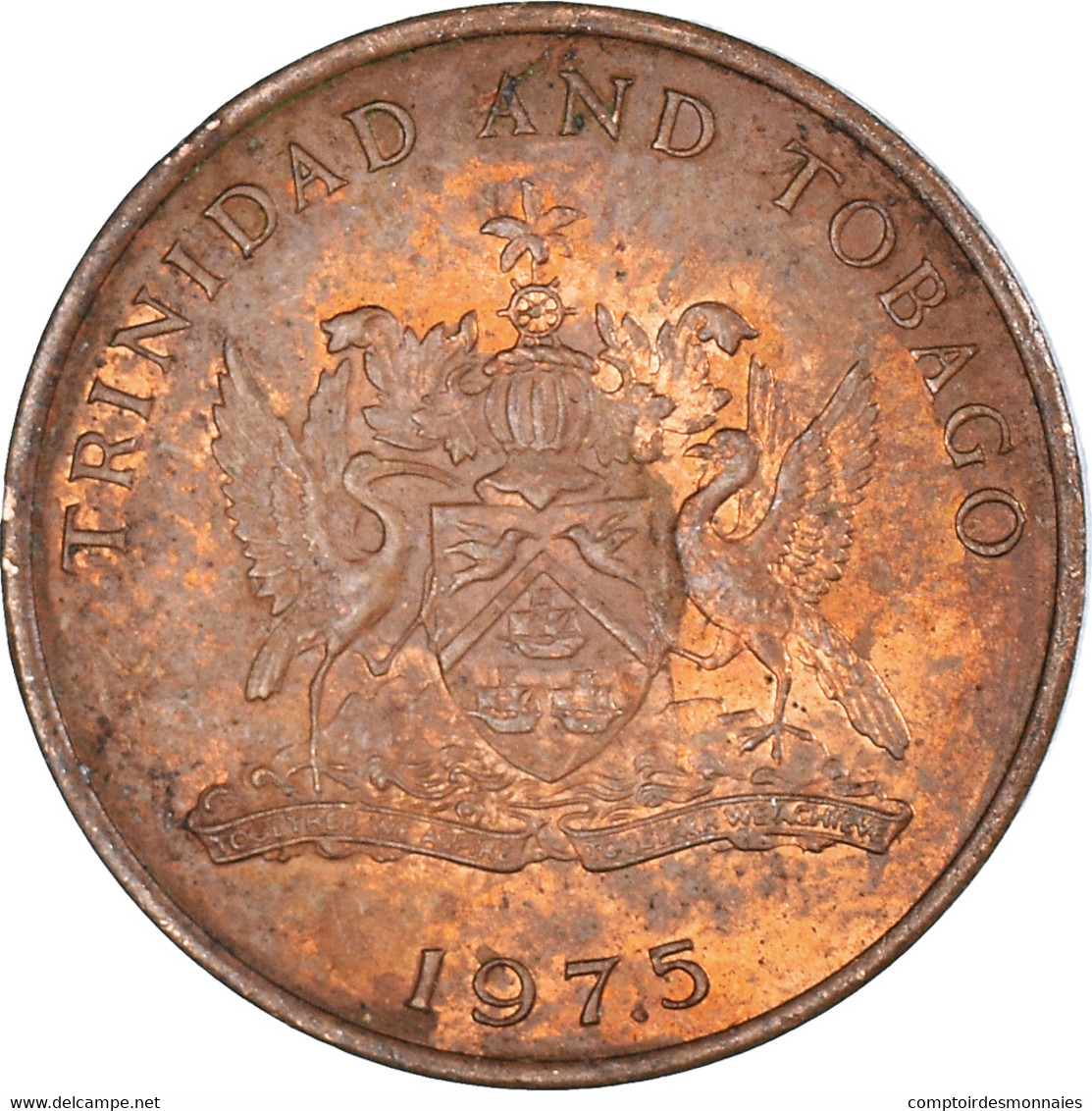 Monnaie, Trinité-et-Tobago, Cent, 1975 - Trinité & Tobago