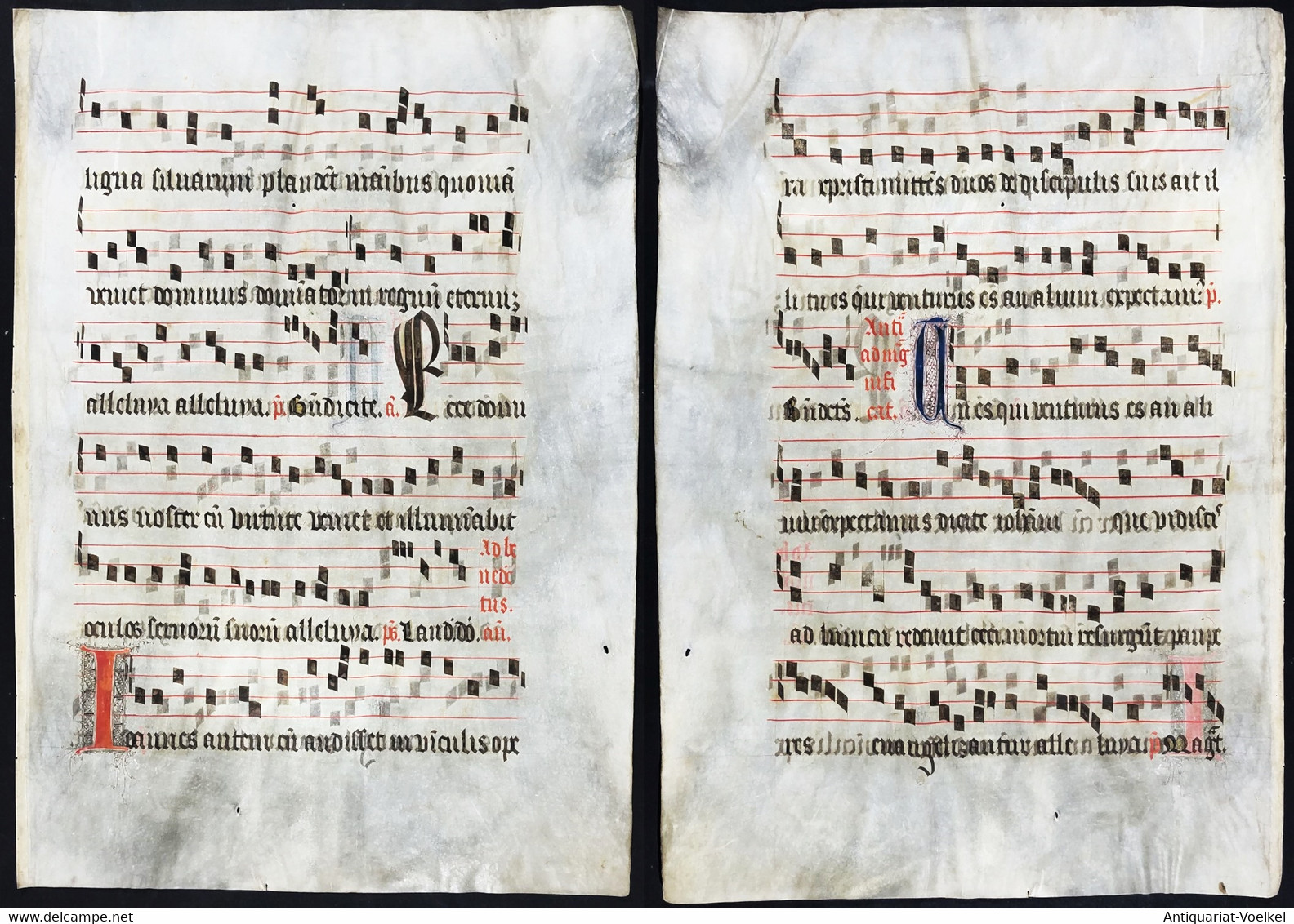 Seltenes, Sehr Großes Original Pergament-Blatt Aus Einer Antiphonar-Handschrift Des 15. Jahrhunderts / Very Ra - Theatre & Scripts