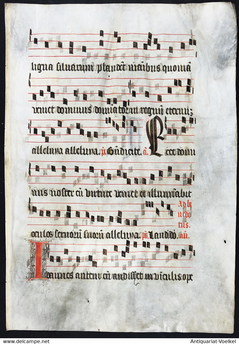 Seltenes, Sehr Großes Original Pergament-Blatt Aus Einer Antiphonar-Handschrift Des 15. Jahrhunderts / Very Ra - Théâtre & Scripts