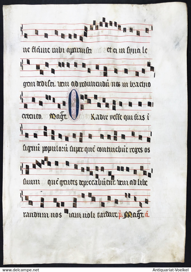 Seltenes, Sehr Großes Original Pergament-Blatt Aus Einer Antiphonar-Handschrift Des 15. Jahrhunderts / Very Ra - Teatro & Sceneggiatura