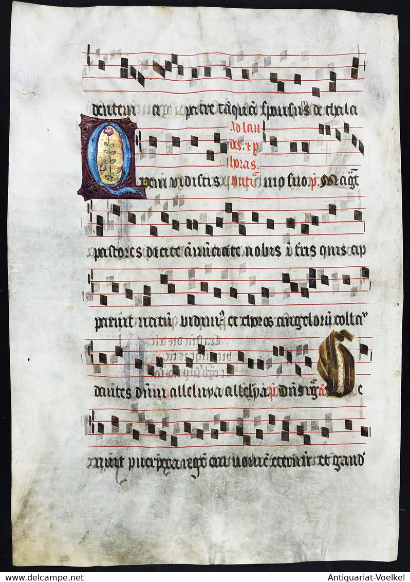 Seltenes, Sehr Großes Original Pergament-Blatt Aus Einer Antiphonar-Handschrift Des 15. Jahrhunderts / Very Ra - Theater & Drehbücher