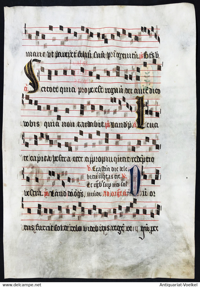 Seltenes, Sehr Großes Original Pergament-Blatt Aus Einer Antiphonar-Handschrift Des 15. Jahrhunderts / Very Ra - Theater & Drehbücher