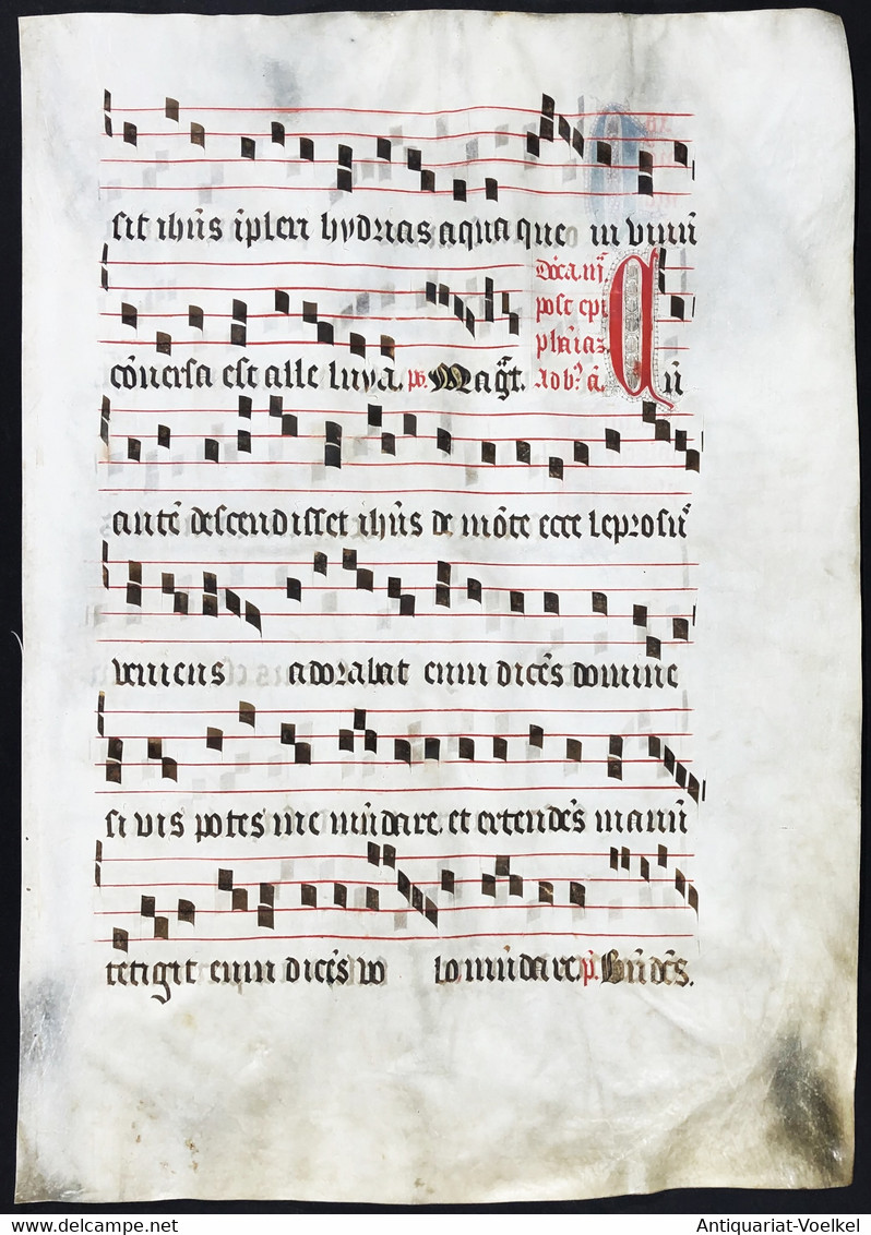 Seltenes, Sehr Großes Original Pergament-Blatt Aus Einer Antiphonar-Handschrift Des 15. Jahrhunderts / Very Ra - Theatre & Scripts