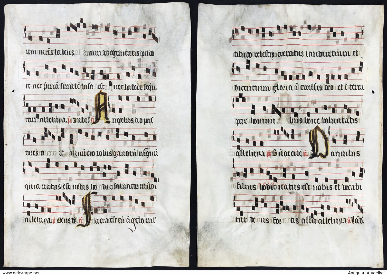 Seltenes, Sehr Großes Original Pergament-Blatt Aus Einer Antiphonar-Handschrift Des 15. Jahrhunderts / Very Ra - Theater & Drehbücher