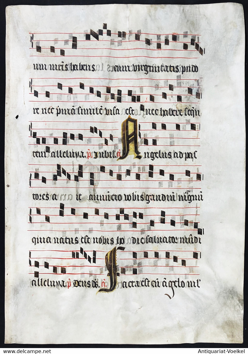 Seltenes, Sehr Großes Original Pergament-Blatt Aus Einer Antiphonar-Handschrift Des 15. Jahrhunderts / Very Ra - Theater & Drehbücher