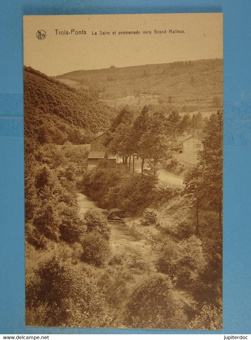 Trois-Ponts La Salm Et Promenade Vers Grand Halleux - Trois-Ponts