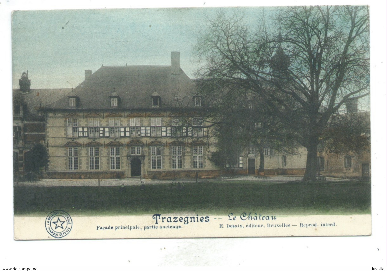 Trazegnies Château ( Carte Colorisée ) - Courcelles