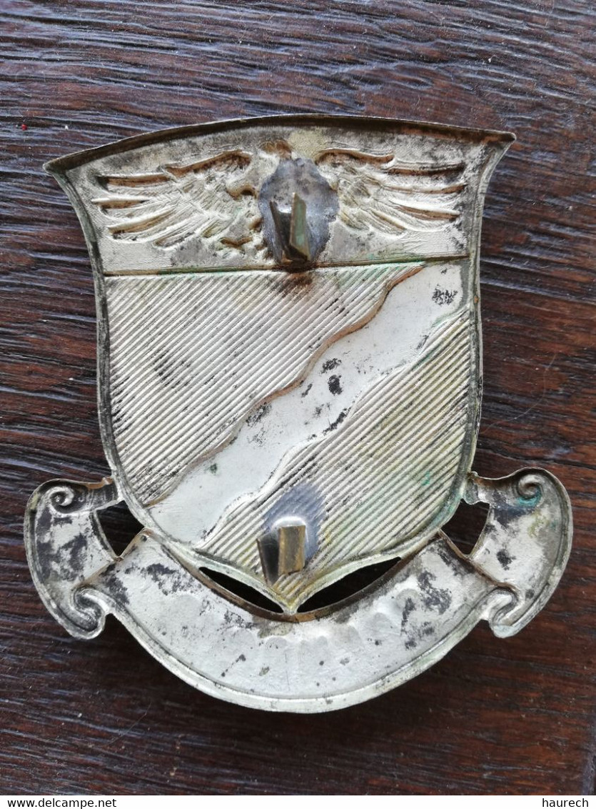 Insigne De Pompier Allemand De La Ville De Salmrohr, époque Ww1 - Pompiers