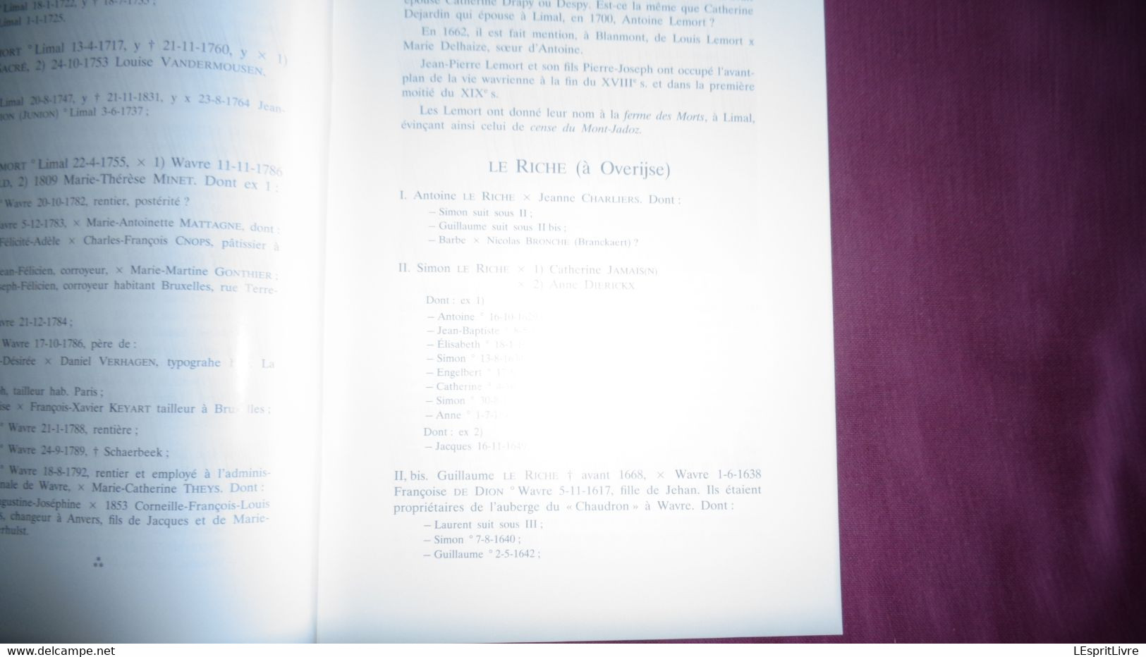 WAVRIENSIA N° 6 Année 1991 Régionalisme Brabant Wallon Wavre Généalogie Sambrée De Bodenghien Lemort Le Riche Overijse - Belgium