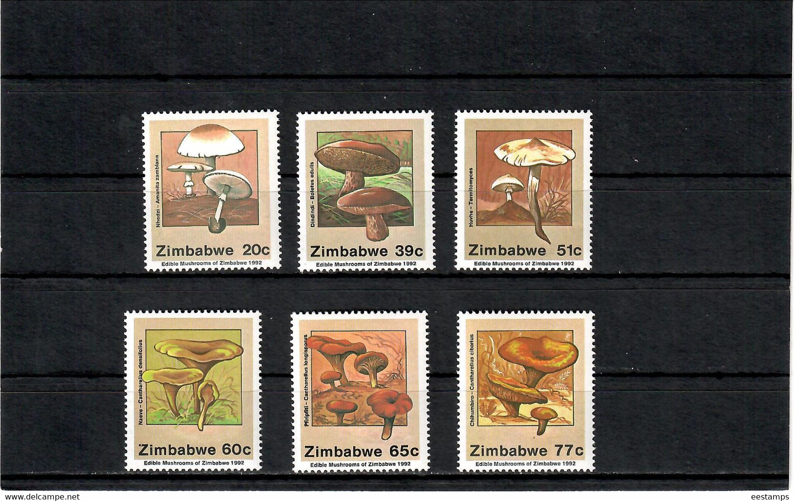 Zimbabwe 1992 . Mushrooms . 6v. Michel # 476-81 - Zimbabwe (1980-...)