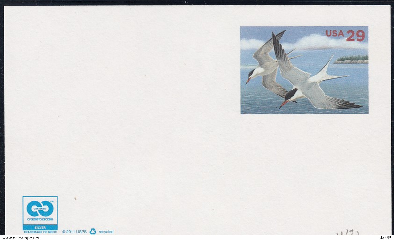 Sc#UX621 29-cent Mint Postal Card, Sea Birds Theme - 2011-...