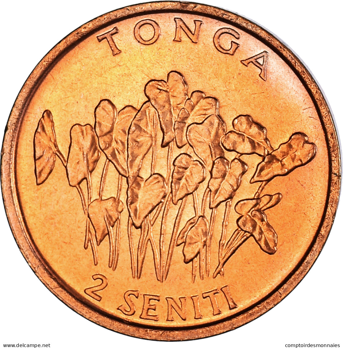 Monnaie, Tonga, King Taufa'ahau Tupou IV, 2 Seniti, 1996, SPL, Bronze, KM:67 - Tonga