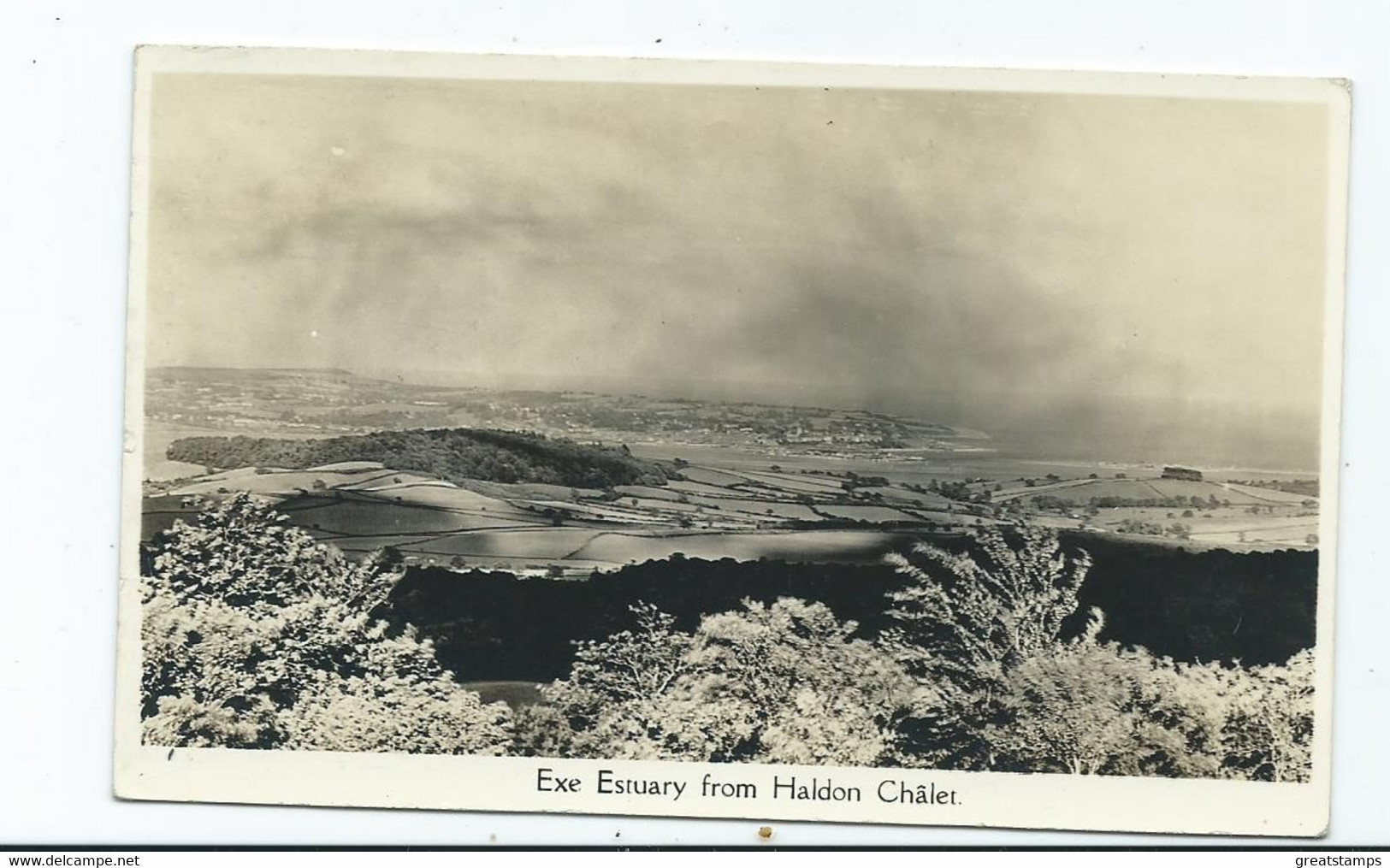 Devon  Postcard Exe Estuary Rpfrom Haldon Chalet Unused Real Photo Rppc - Exeter