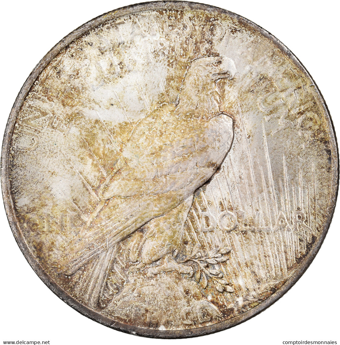 Monnaie, États-Unis, Peace Dollar, Dollar, 1923, U.S. Mint, Philadelphie, SUP - 1921-1935: Peace (Paix)